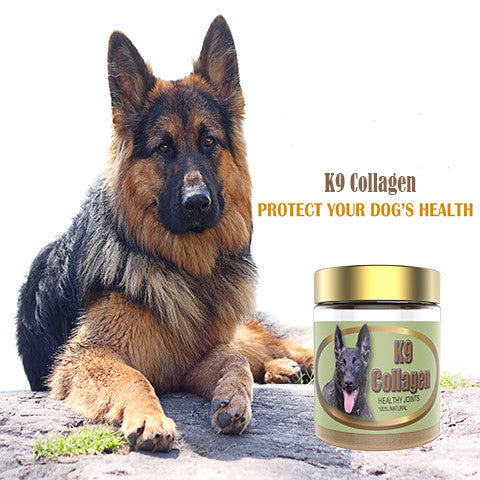 K9 Collagen Hip & Joint Supplements For Pet - A Review